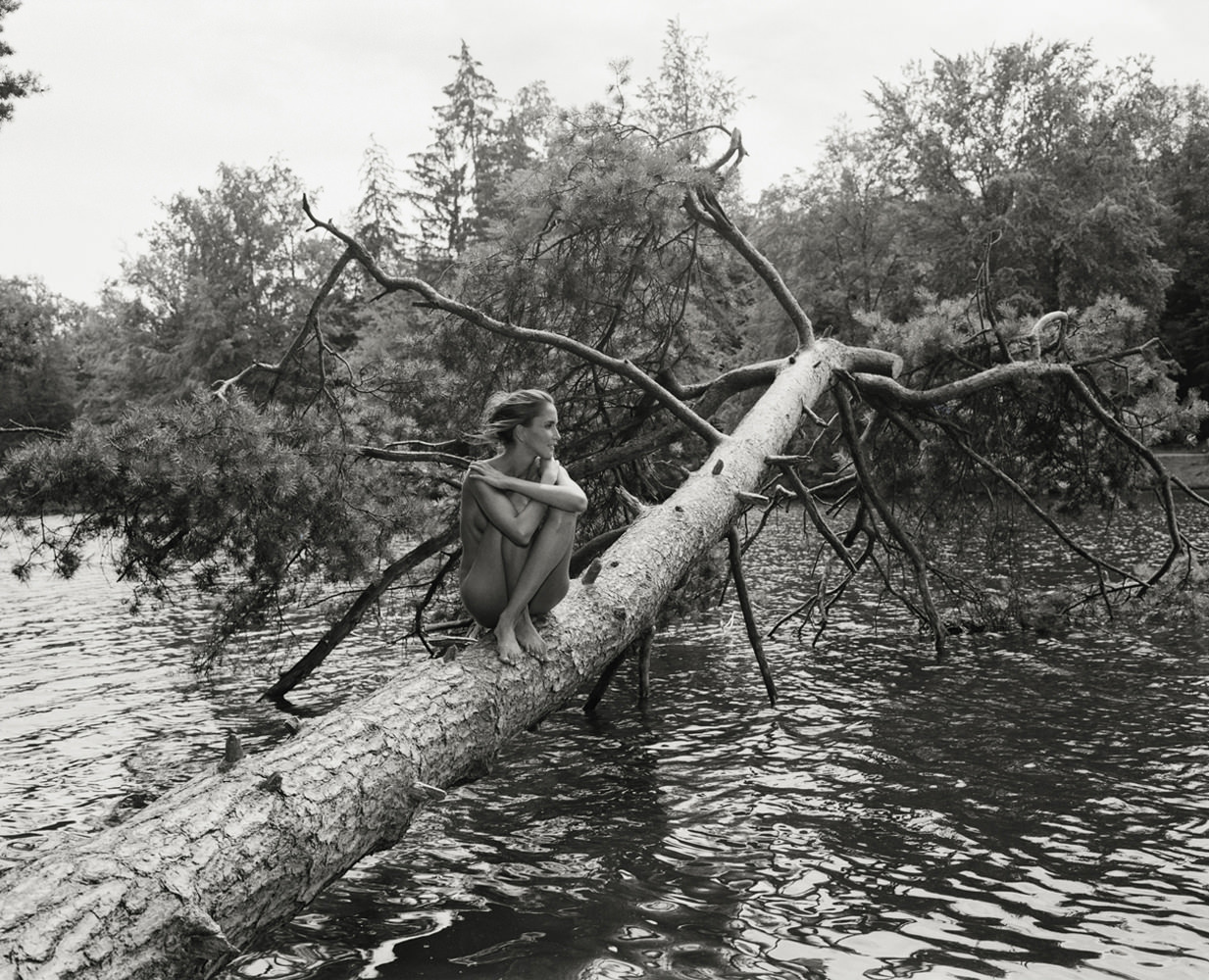 Nature Cosmetics Nature Cosmetics