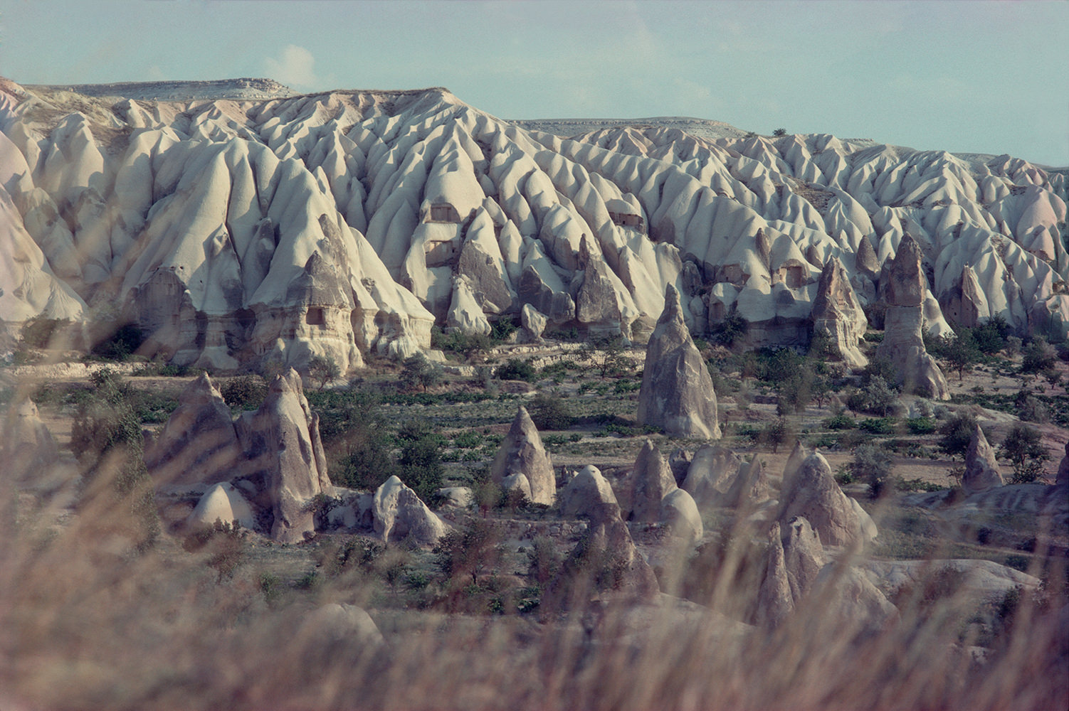 Real Surreal Landscape 1