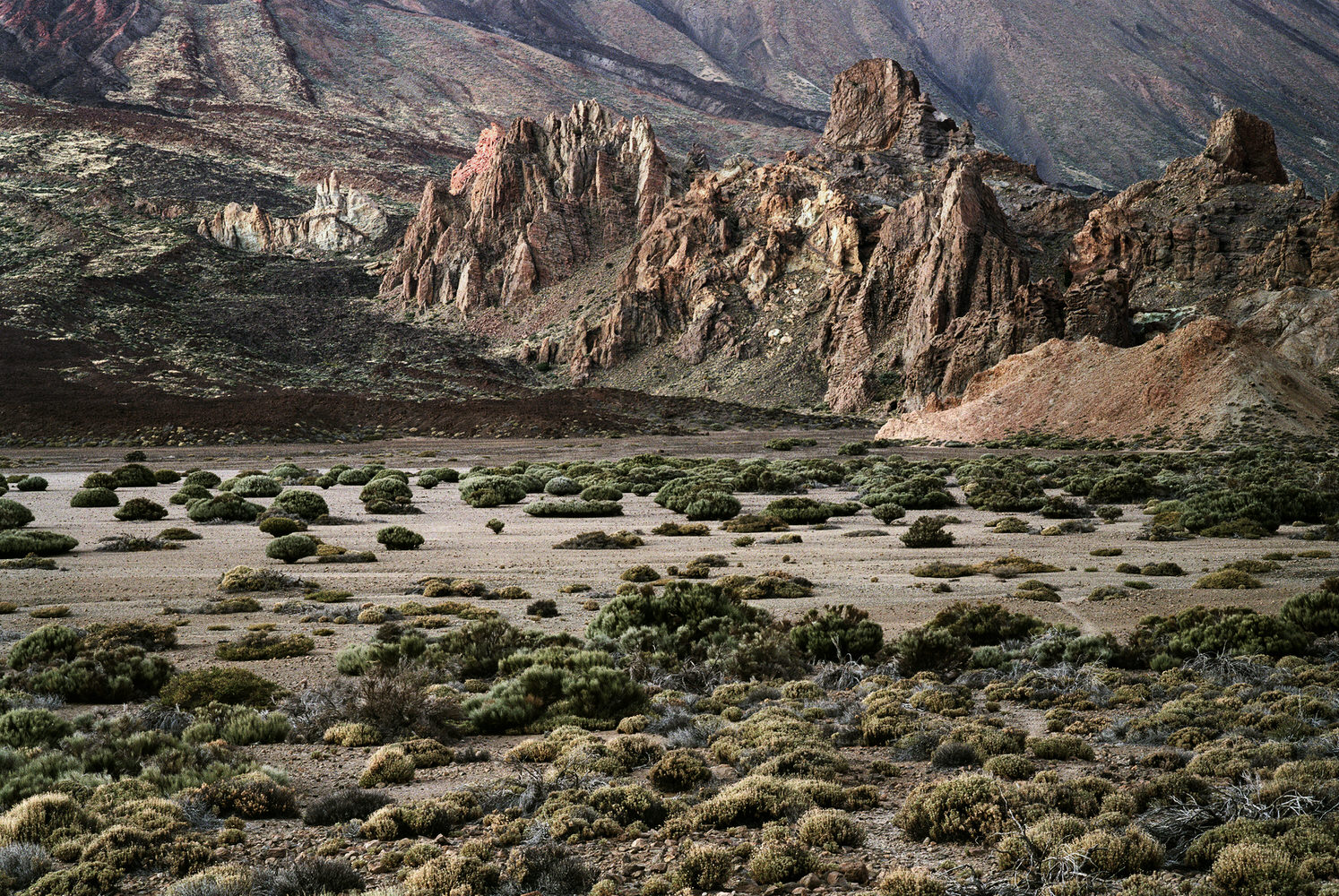 Real Surreal Landscape 1