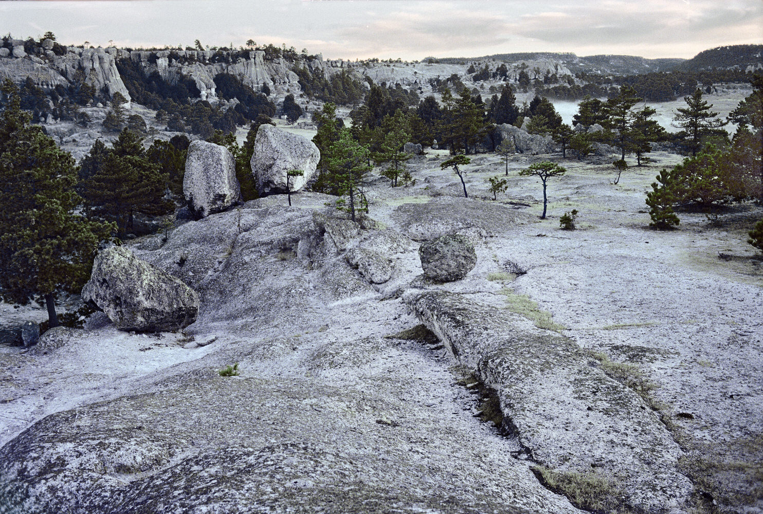 Real Surreal Landscape 1