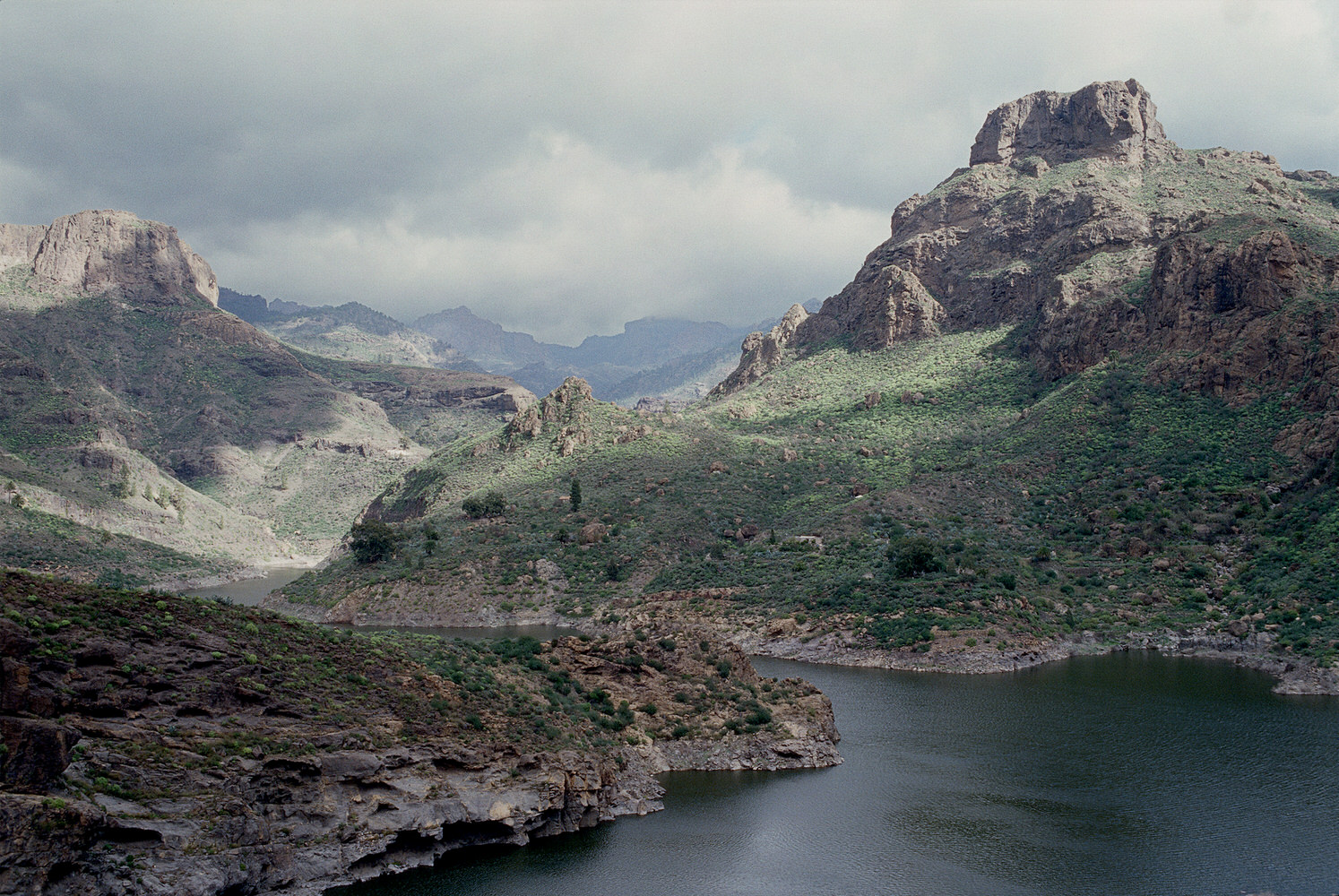 Real Surreal Landscape 1